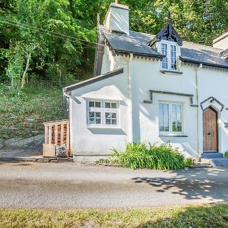 Braich-Y-Celyn Lodge Aberdyfi Εξωτερικό φωτογραφία