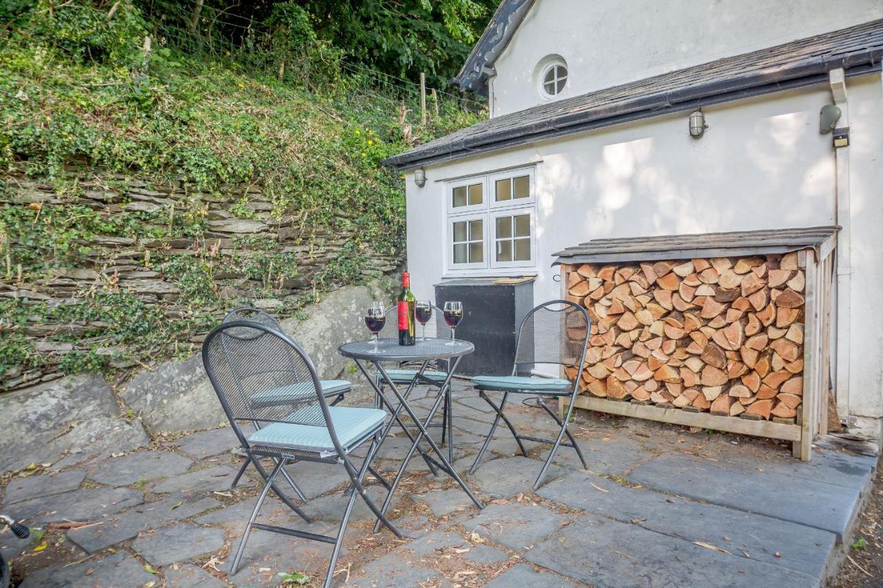 Braich-Y-Celyn Lodge Aberdyfi Εξωτερικό φωτογραφία